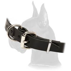 Top-class Leather Collar