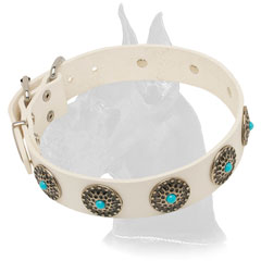Leather Great Dane Collar with circles