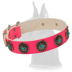 Training Pink Leather Great Dane Collar