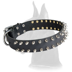 Spiked Leather Great Dane Collar