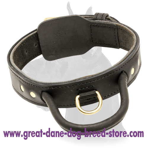 great dane training collar