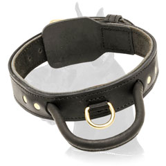 Training Leather Great Dane Collar