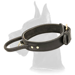 Walking Leather Great Dane Collar