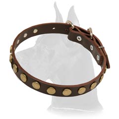 Leather Collar with circles