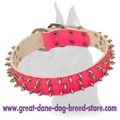 Great Dane Pink Spiked Leather Collar
