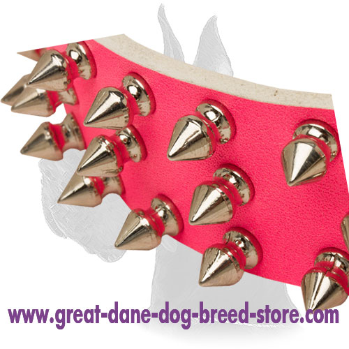 Pink Leather Collar with Spikes for Female Great Dane