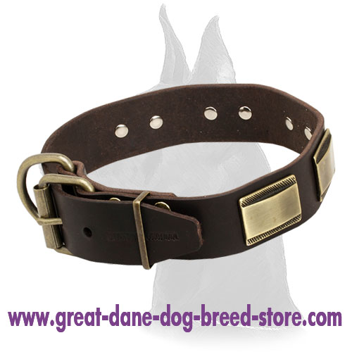 Designer Leather Collar for Great Dane