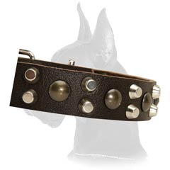 Decorated Leather Collar