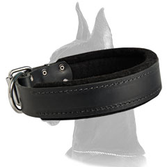 Great-Dane-Dog-Leather-Collar-For-Attack-Training-small.jpg