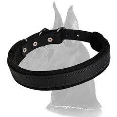 Long-service Leather Great Dane Collar