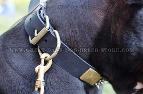 Stylish Great Dane Leather Dog Collar