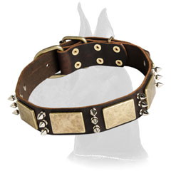 Great Dane Leather Canine Collar