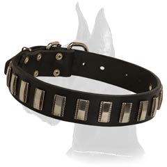 Great Dane Leather Dog Collar for handling