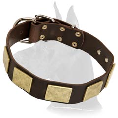 Great Dane Leather Dog Collar with plates