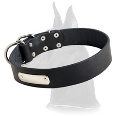 Great Dane Leather Collar with id tag