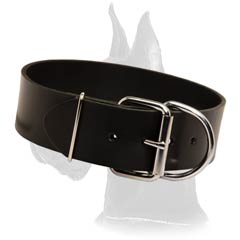 Adjustable Great Dane Leather Dog Collar