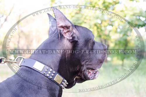 Wearproof Great Dane Leather Collar