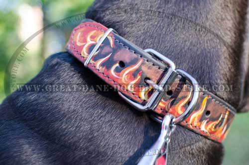 Great Dane Leather Collar with rustproof hardware