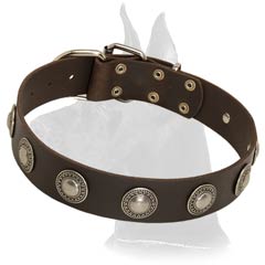 Cozy Great Dane Leather Collar