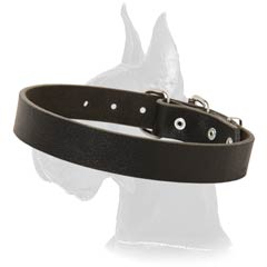 Superb Great Dane Leather Dog Collar