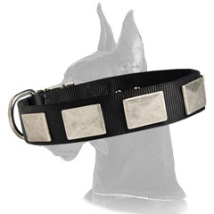 Cool Great Dane Nylon Collar