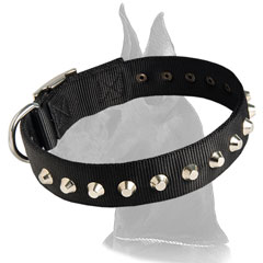 All Weather Great Dane Nylon Collar