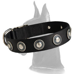 Great Dane Nylon Collar with circles