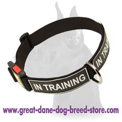 All  Weather Nylon Collar