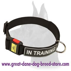 Multifunctional Nylon Collar