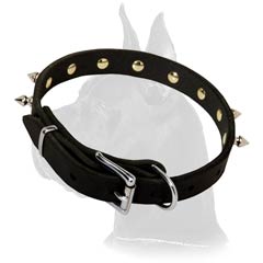 Leather Spiked Collar