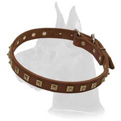 Wonderful Studded Dane Collar