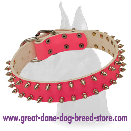 Fancy pink Leather Collar