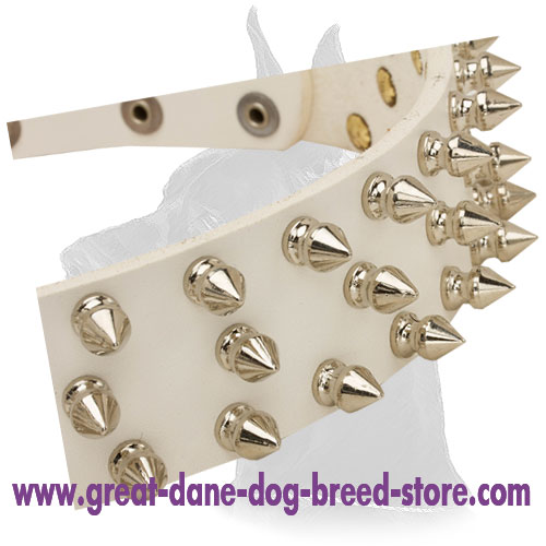White Leather Collar for Great Dane with Attractive Design