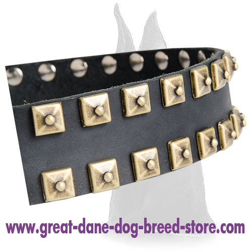 Comfortable Leather Collar With Brass Studs for Great Dane