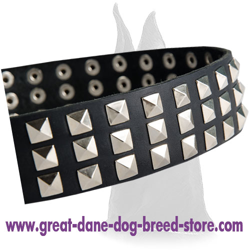 Stylish Leather Great Dane Collar