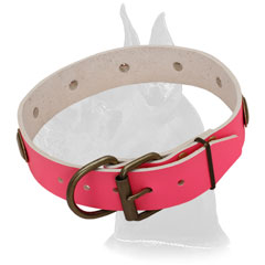 Superb leather collar with elegant oval plates