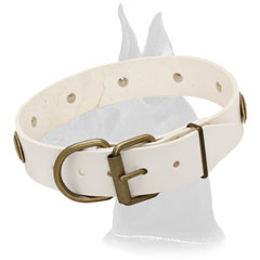 Superb leather collar with elegant oval plates