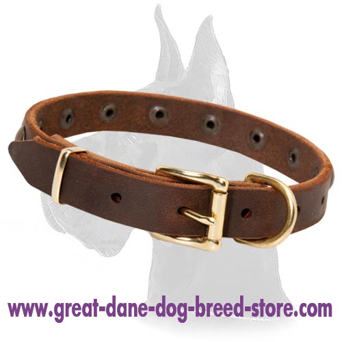 Trendy leather collar with metal decorations