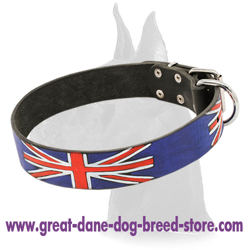 Fashion Leather Great Dane Collar for Walking