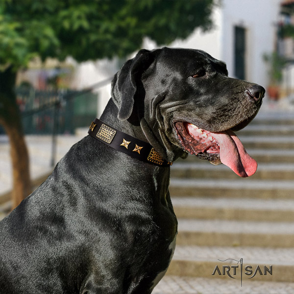 Great Dane stylish leather collar with rust-proof hardware