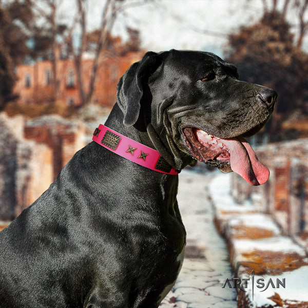 Great Dane stylish design leather collar with rust-proof buckle