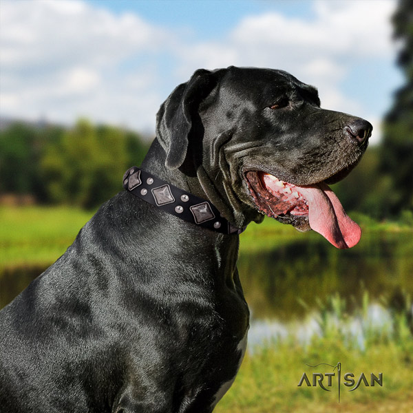 Great Dane convenient collar with unusual adornments for your canine