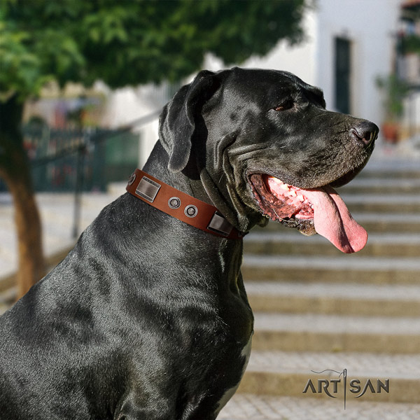 Great Dane convenient full grain natural leather collar with rust-proof hardware