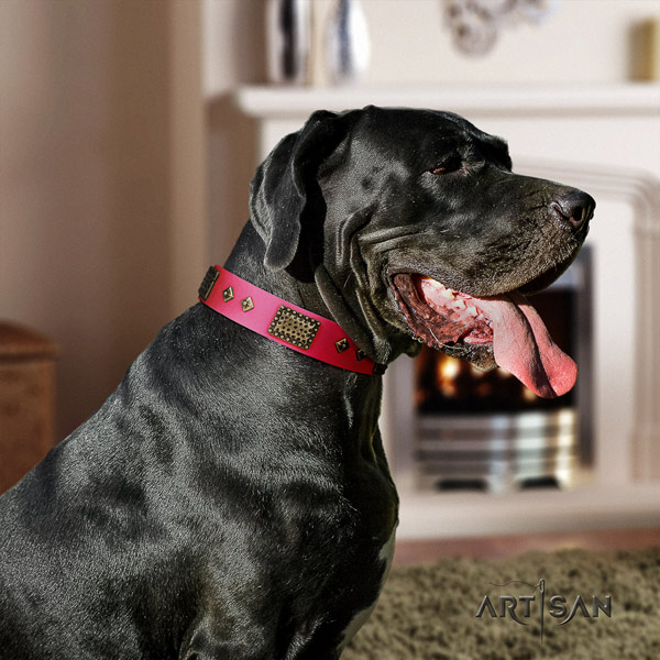 Great Dane adjustable full grain natural leather collar with corrosion resistant hardware