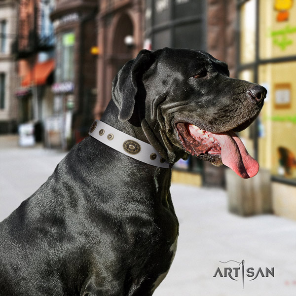 Great Dane convenient collar with extraordinary decorations for your doggie