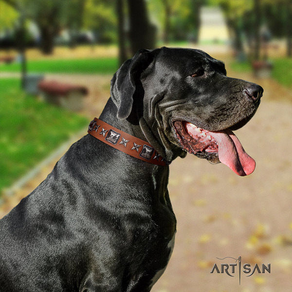 Great Dane fine quality collar with designer studs for your dog