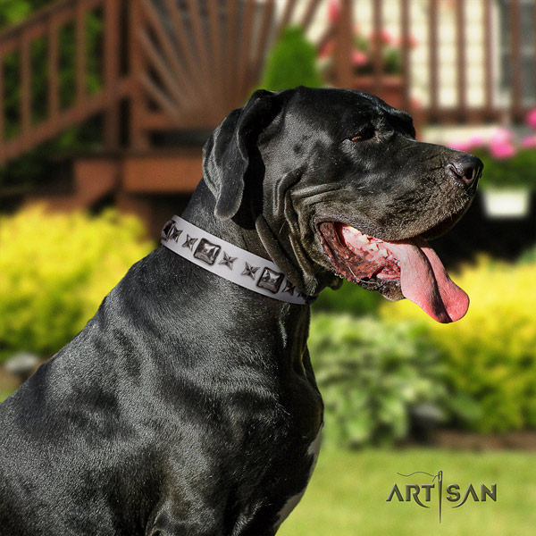 Great Dane handmade collar with designer adornments for your doggie