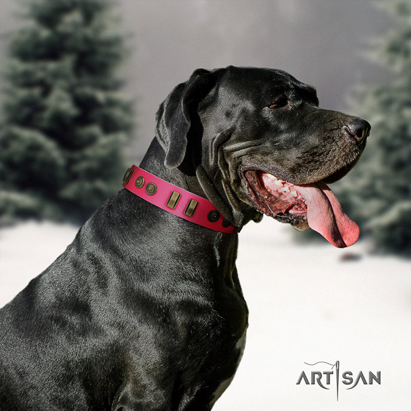 Great Dane fine quality full grain natural leather collar with rust-proof buckle
