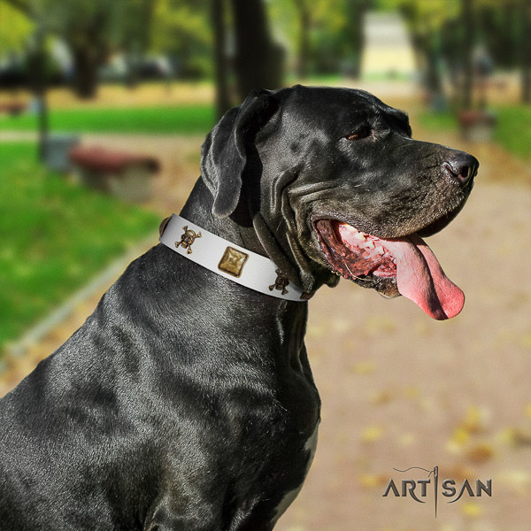 Great Dane easy wearing full grain genuine leather collar with studs for your canine