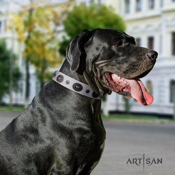 Great Dane easy wearing collar with fashionable decorations for your doggie